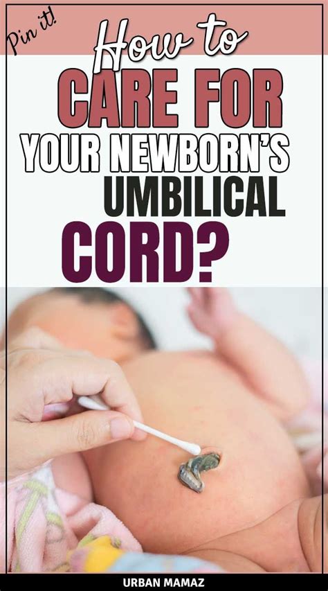 How to Care for Your Newborn’s Umbilical Cord - Urban Mamaz Blog ...