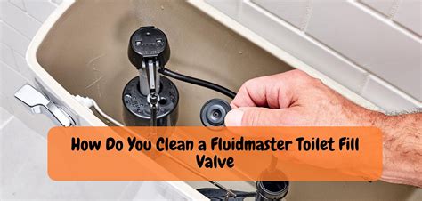 How To Clean Toilet Fill Valve The Smart Guide