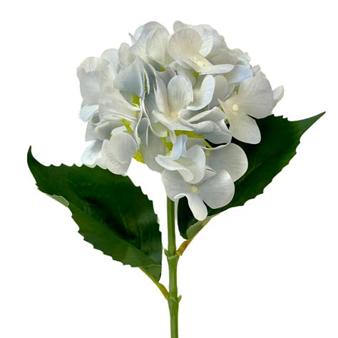 Гортензия голубая 66 см – купить в интернет-магазине, цена, заказ online