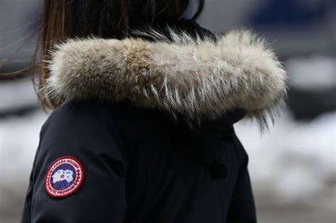 Why is Canada Goose so Expensive? - All Outdoors Guide