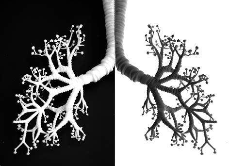 Frontier Bio | Engineered Tissues for Animal-Free Testing