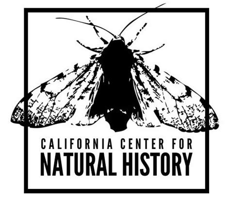 Ask The Naturalist How Do I Know If A Lizard Is Male Or Female