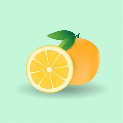 Premium Vector Vector Of Fresh Orange