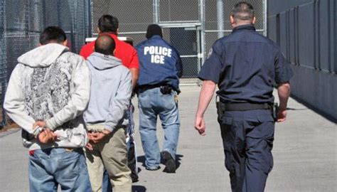 ICE Operation Targeting At Large Violent Convicted Criminal Aliens Nets