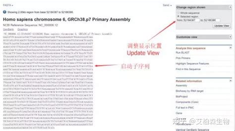 怎么查找基因的启动子、utr、tss等区域以及预测转录因子结合位点 环状rna社区 知乎