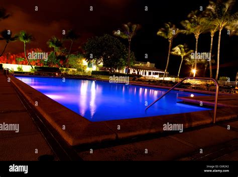 Pool in Miami Beach at night time with palm trees Stock Photo - Alamy