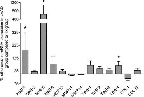 A Quantitative Gene Expression Profile Of Matrix Metalloproteinases