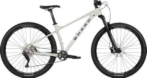 Haro Double Peak 29 Comp 2021 | Bikes.Fan