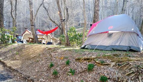 Plumtree Campground Tent Loop Hipcamp In Newland North Carolina