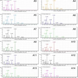 Total Ion Chromatograms TIC Of GC MS Analyses Of Oils Extracted From