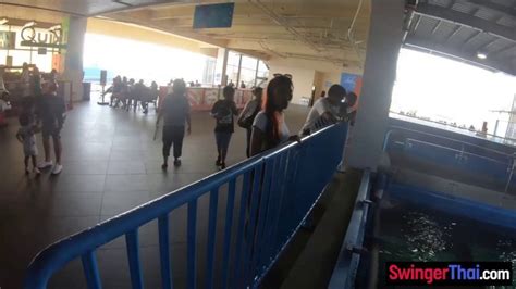 Perfect Ass Thai Girlfriend Sex At Home After A Day Of Playing With Fish Xdreamz93