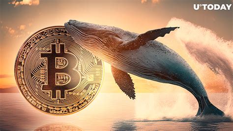 Bitcoin Whales Boost Holdings By Billion