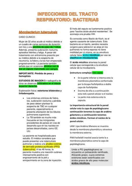 Infecciones Del Tracto Respiratorio Bacterias Mariana Zarelly Vargas