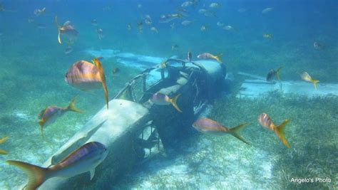 Snorkeling at CocoCay in the Bahamas