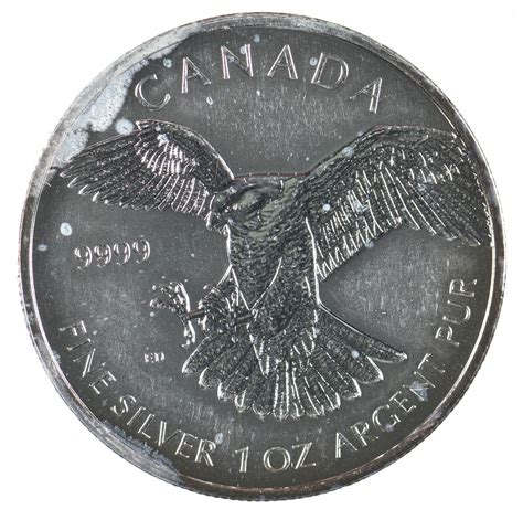 Better Date 2014 Canada 5 Dollars 1 Oz Silver Peregrine Falcon World