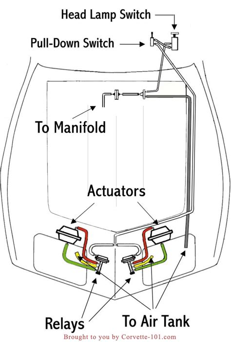 Shop Vac Switch Wiring Diagram New Wiring Diagram Image