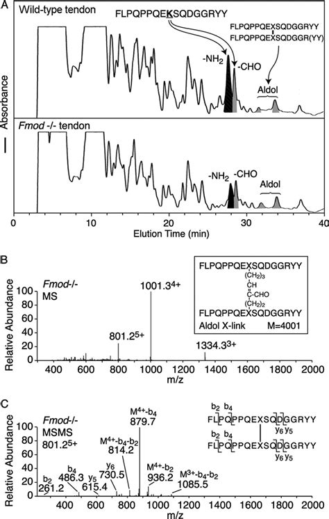 Mass Spectrometric Identification Of The Collagen Type I C Telopeptide