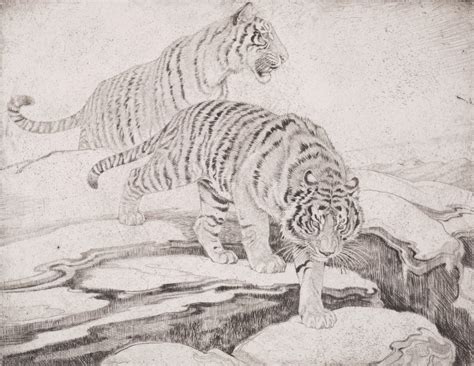 Bengal Tigers - High Museum of Art