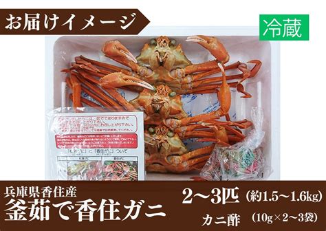 【兵庫県香住産 釜茹で香住ガニ（紅ズワイガニ）】9月中旬以降順次発送予定 冷蔵 香住港で水揚げ 新鮮な香住ガニ 絶妙な塩加減で茹で上げ