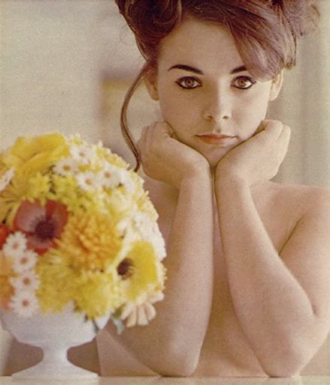 Playmate Luscious Hentai Manga Porn