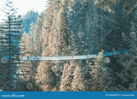 View of Capilano Suspension Bridge Park in North Vancouver at Winter ...