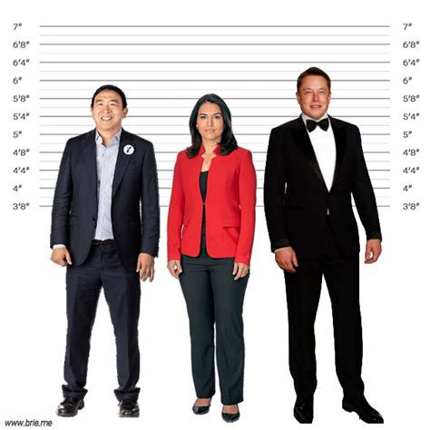 Unveiling The Height Of A Rising Star How Tall Is Tulsi Gabbard