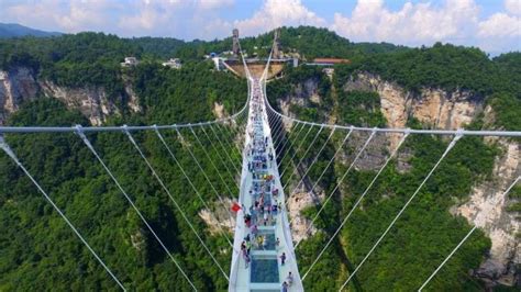 Jembatan Kaca Terpanjang Dan Tertinggi Di Dunia Ini Potret Keindahan