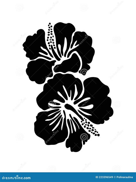 Hibiscus Flowers Vector Silhouette Stock Vector Illustration Of