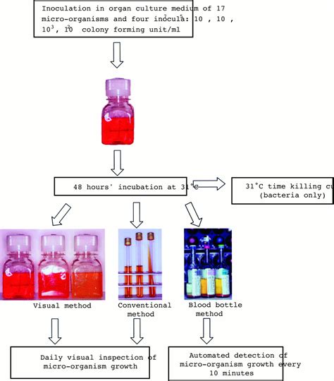 Sensitivity And Rapidity Of Blood Culture Bottles In The Detection Of