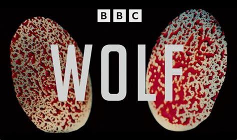 Wolf episode 1 cast: Who stars in BBC crime thriller? | TV & Radio ...