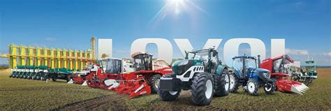 Главная-Вейчай Ловол