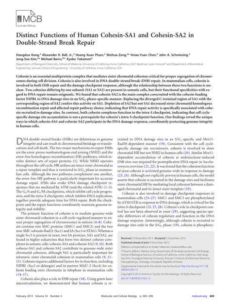 Distinct Functions Of Human Cohesin SA1 And Cohesin SA2 In Double