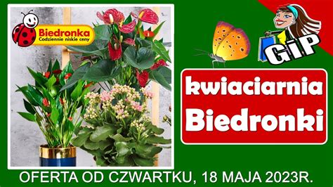 BIEDRONKA Oferta Od Czwartku 18 05 2023 Kwiaciarnia Biedronki