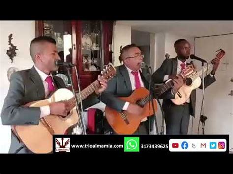 A LA SOMBRA DE MI MADRE LEO DAN 317 3439625 Serenatas De Trio