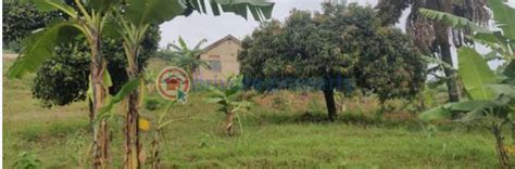 Land For Sale Kampala Hills Kampala Central Pid 4paarh Private