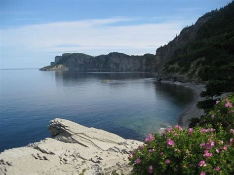 Gaspe Tourism: Best of Gaspe, Quebec - TripAdvisor