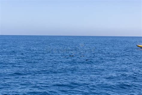 Seascape With Sea Horizon And Almost Clear Deep Blue Sky Stock Photo