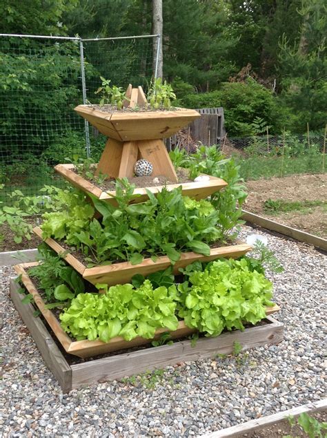 Pyramid Planter With Lettuce Spinach And Basil For Your Vertical