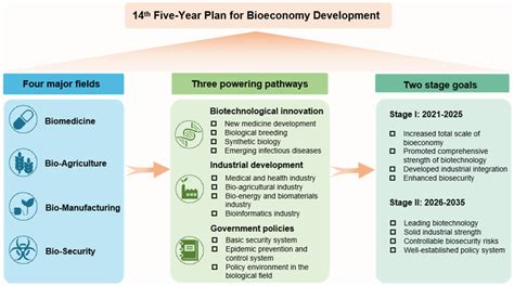 Graphic Scheme Of China 14th Five‐year Plan For Bioeconomy Development