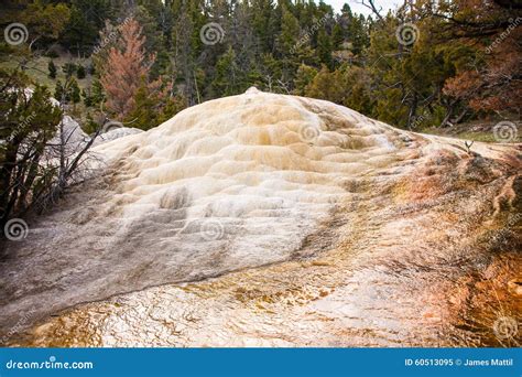 Close Up Of Yellowstone Thermal Feature Stock Image Image Of Wyoming