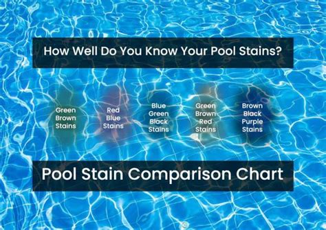 Pool Stains What They Mean How To Remove Them Pool Magazine