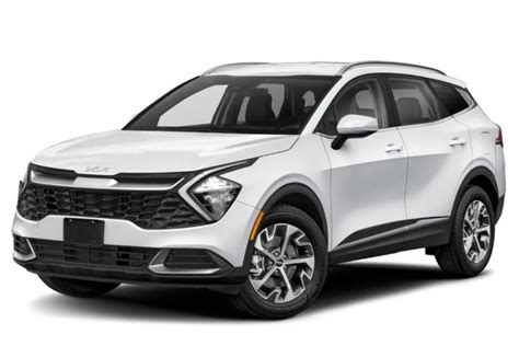 Rushmore Car Rental Jordan | Airport Pickup & Logistics Services