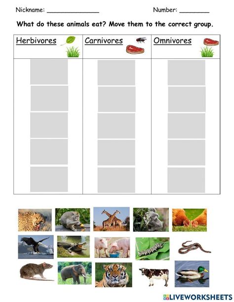 herbivores animals artofit