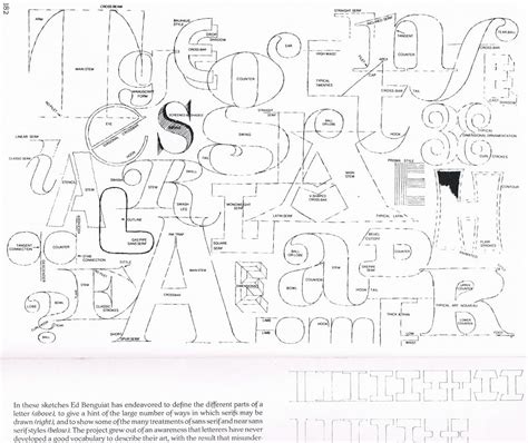 anatomy  letters typography galatokyo