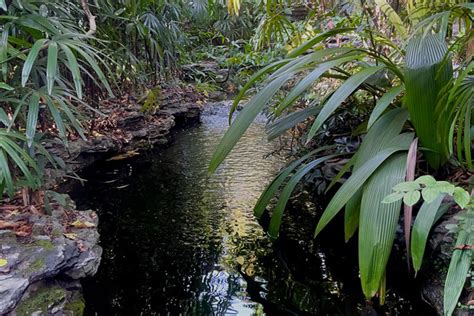 Unveiling The Hidden Gem Of Guangzhou Exploring The Charm Of Yuexiu District