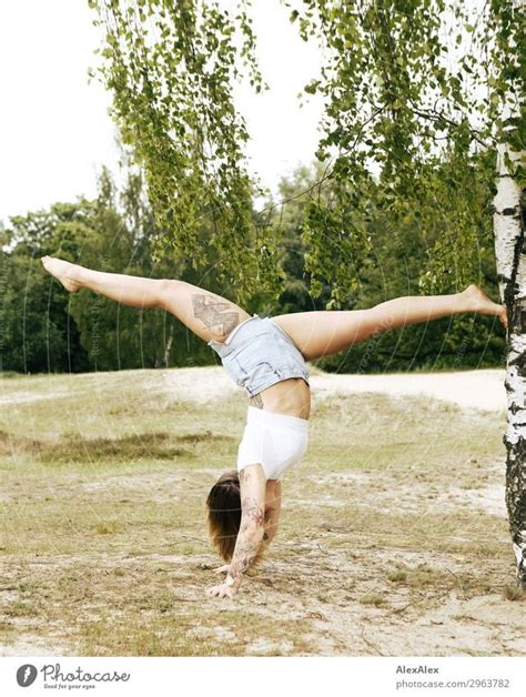 Tättowierte Frau Macht Handstandspagat An Einer Birke Ein