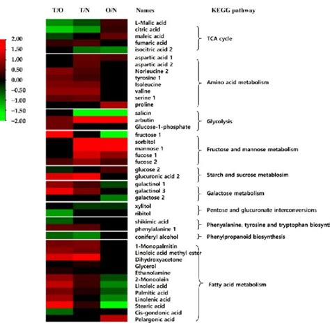 Heatmap Showing The Differential Abundance Of Metabolites Between Tw Download Scientific