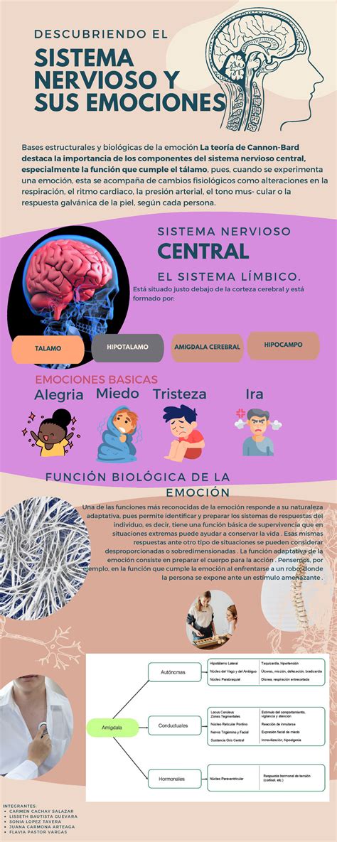 Bases biologicas y neuroanatomicas de la emoción - TALAMO HIPOTALAMO