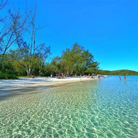 Ilha Do Japones - Ilha do Japonês em Cabo Frio: guia completo
