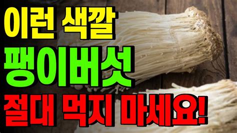 팽이버섯 이런 색깔이라면 절대 먹지 마세요 팽이버섯의 숨겨진 진실을 알려드립니다 Youtube